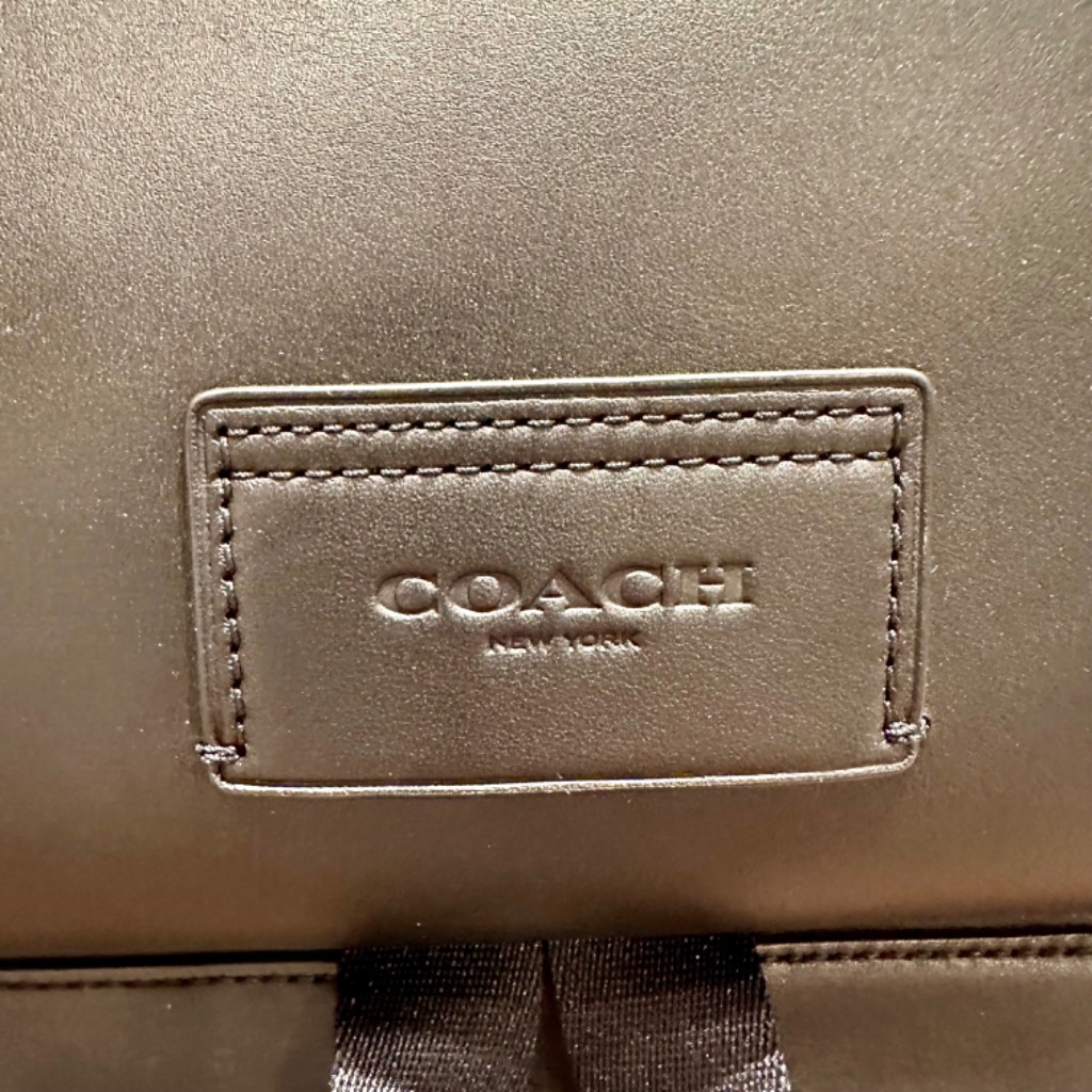 COACH コーチ バッグ メンズ リュック スムース レザー トラック