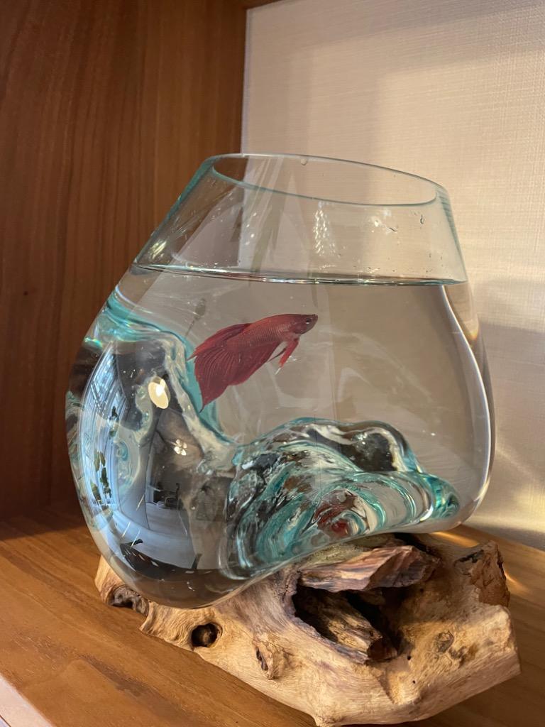 吹きガラスと天然木のオブジェ S20 金魚鉢 メダカ水槽 花瓶 流木ガラス
