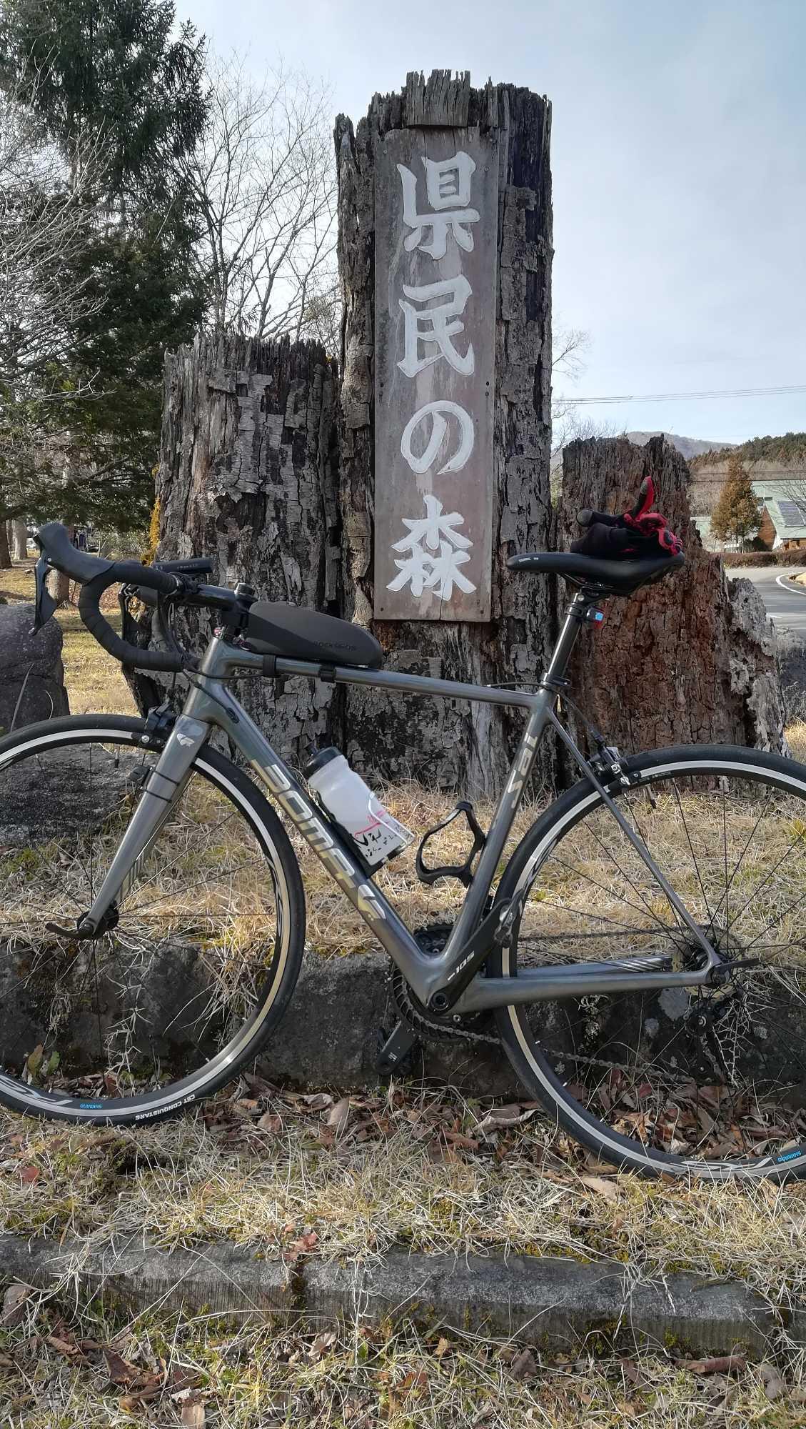 シマノ WH-RS100 フロントホイール クリンチャー SHIMANO 優良