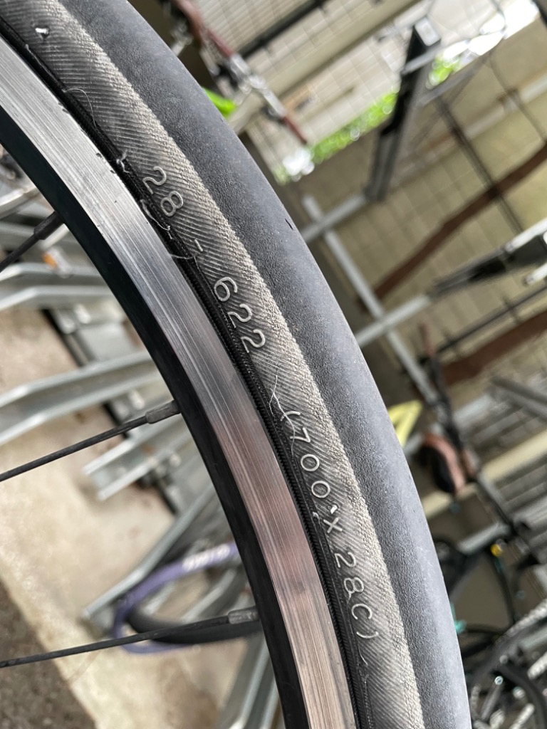 Amazon | 2本セット MICHELIN (ミシュラン) Dynamic Sport