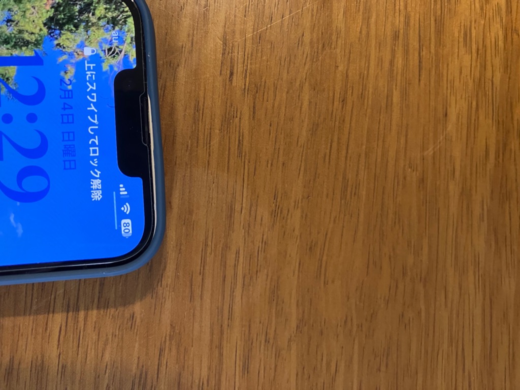 全体のレビュー画像 | 2-0