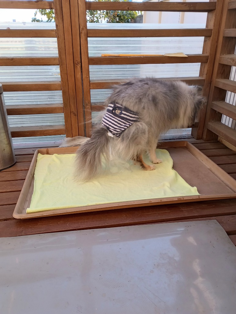 レビュー画像