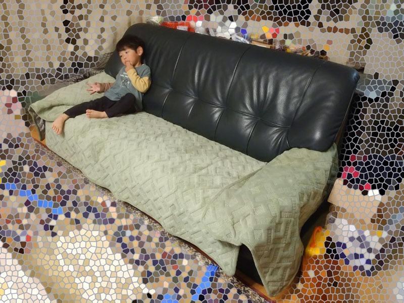 レビュー画像