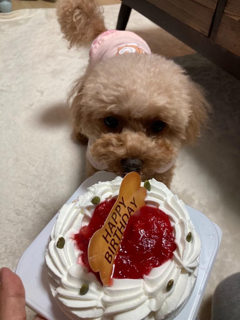 犬用ケーキ コミフ いちごのバースデーケーキ ペット用ケーキ ペットケーキ 飼い主も一緒に食べられるスイーツ 暮らしの総合デパートケベック 通販 Yahoo ショッピング