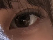 全体のレビュー画像 | 6-1