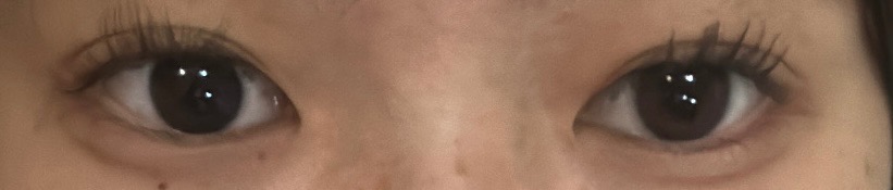 全体のレビュー画像 | 7-0