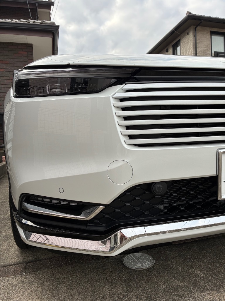 GZYF 車 フォグライト カバー フォグランプ ベゼル 車用 ガーニッシュ