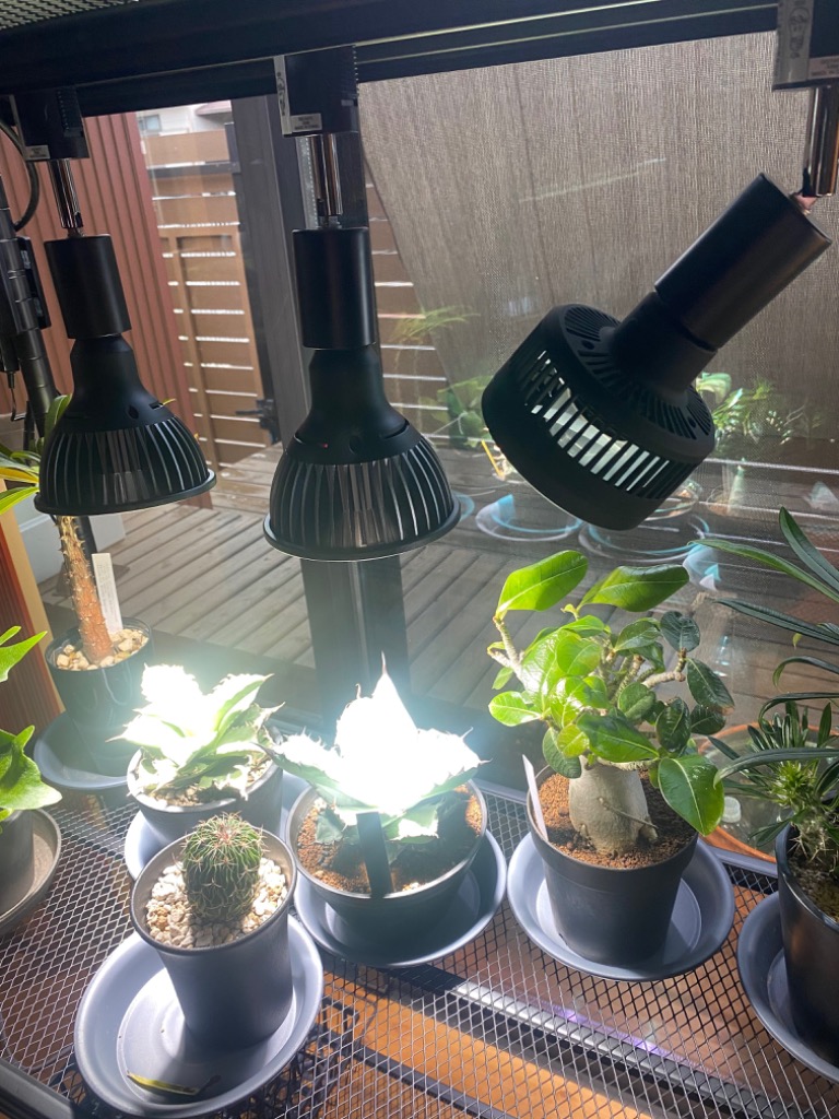 グリーンアドバイザー推薦BRIM(ブリム) COSMO 20W 植物育成ライト LED