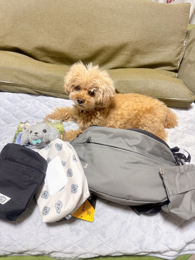 全体のレビュー画像 | 0-0