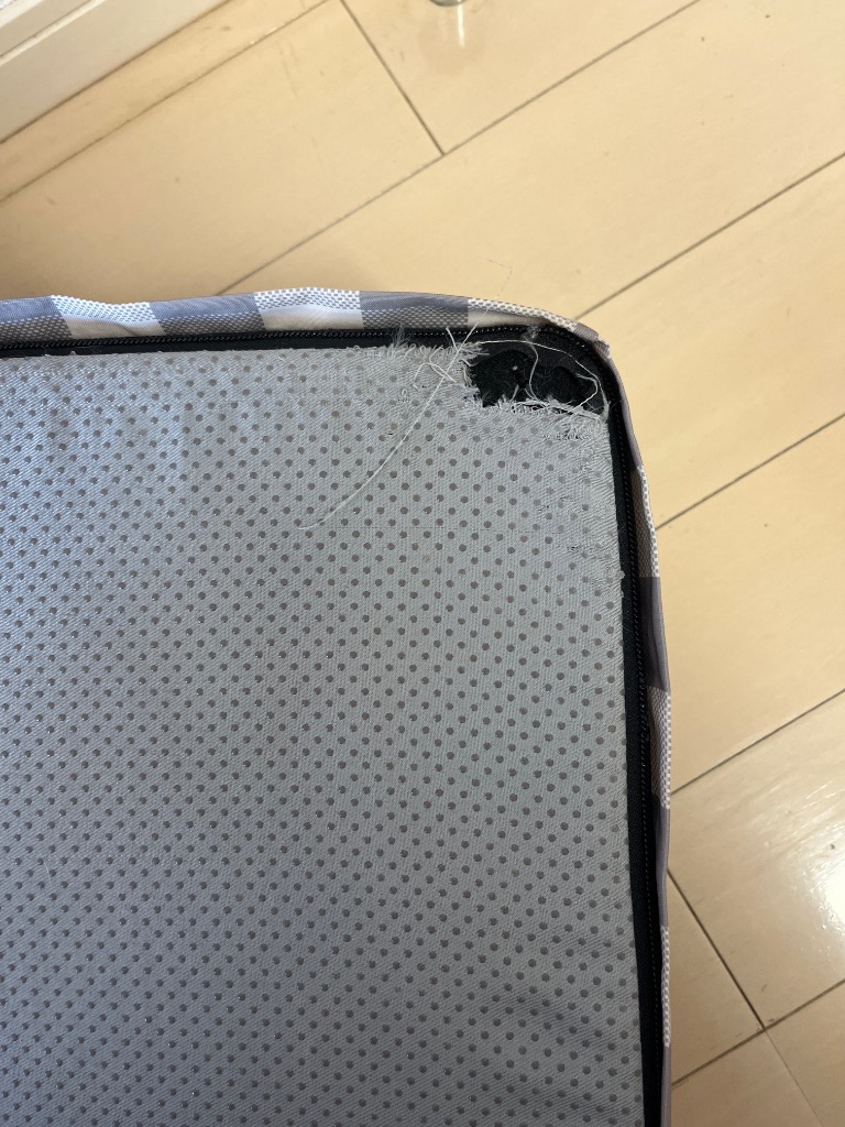 6件目のレビュー画像 | 0