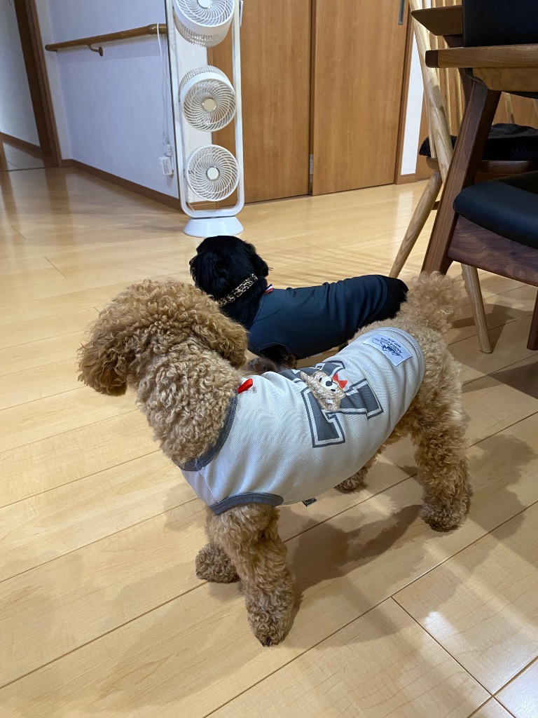 レビュー画像