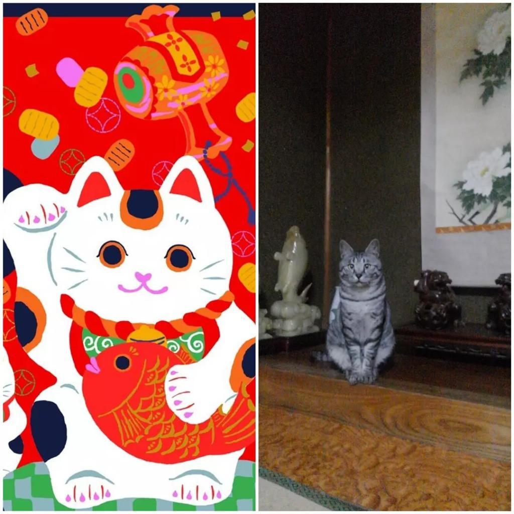 1件目のレビュー画像 | 0