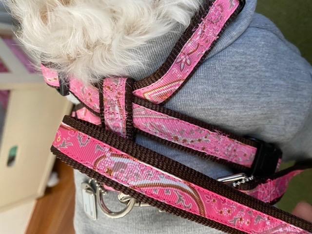 全体のレビュー画像 | 1-0