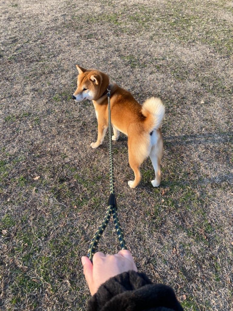 7件目のレビュー画像 | 0