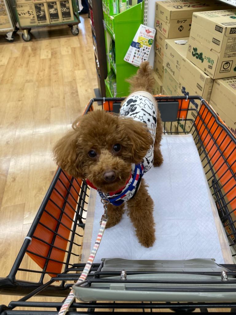 7件目のレビュー画像 | 0