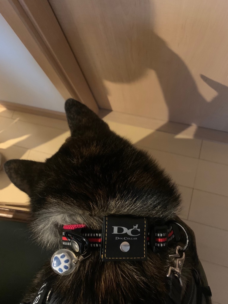 全体のレビュー画像 | 1-0