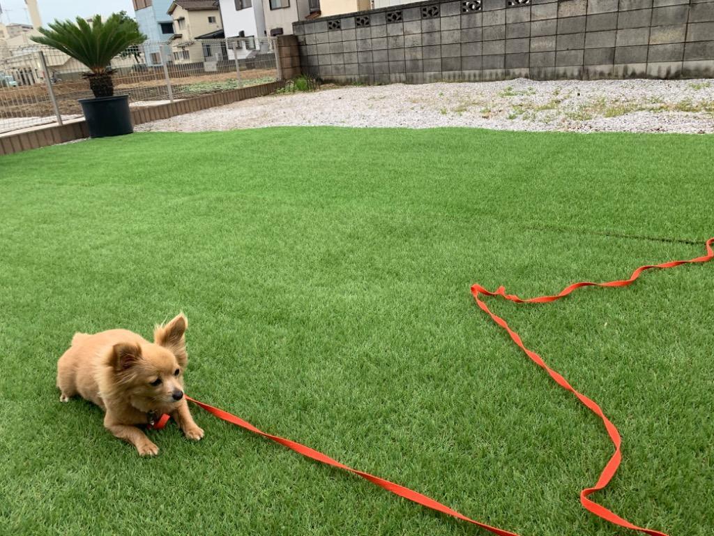 1件目のレビュー画像 | 0