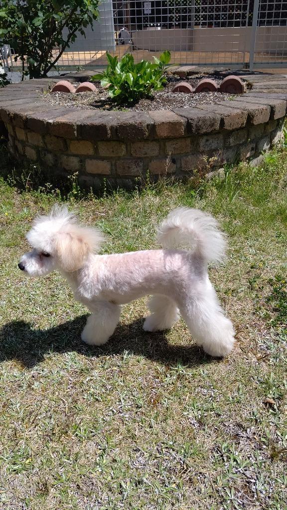 全体のレビュー画像 | 3-0