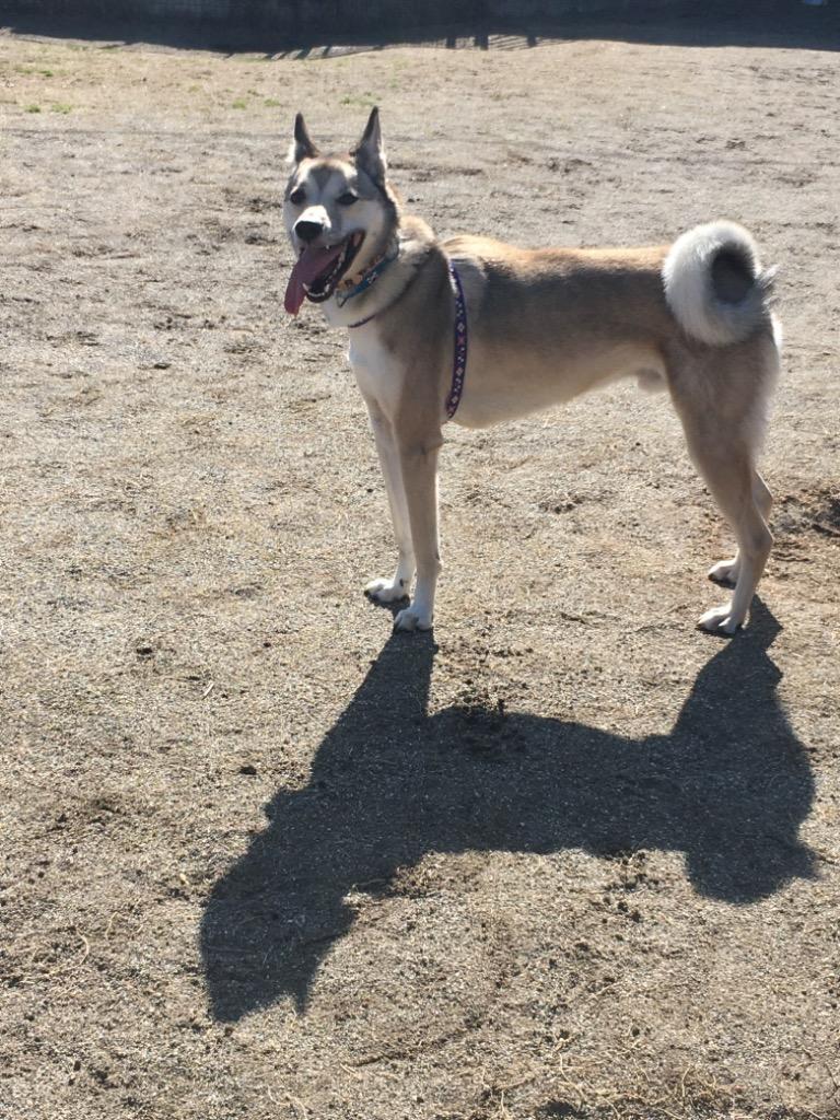 全体のレビュー画像 | 1-0