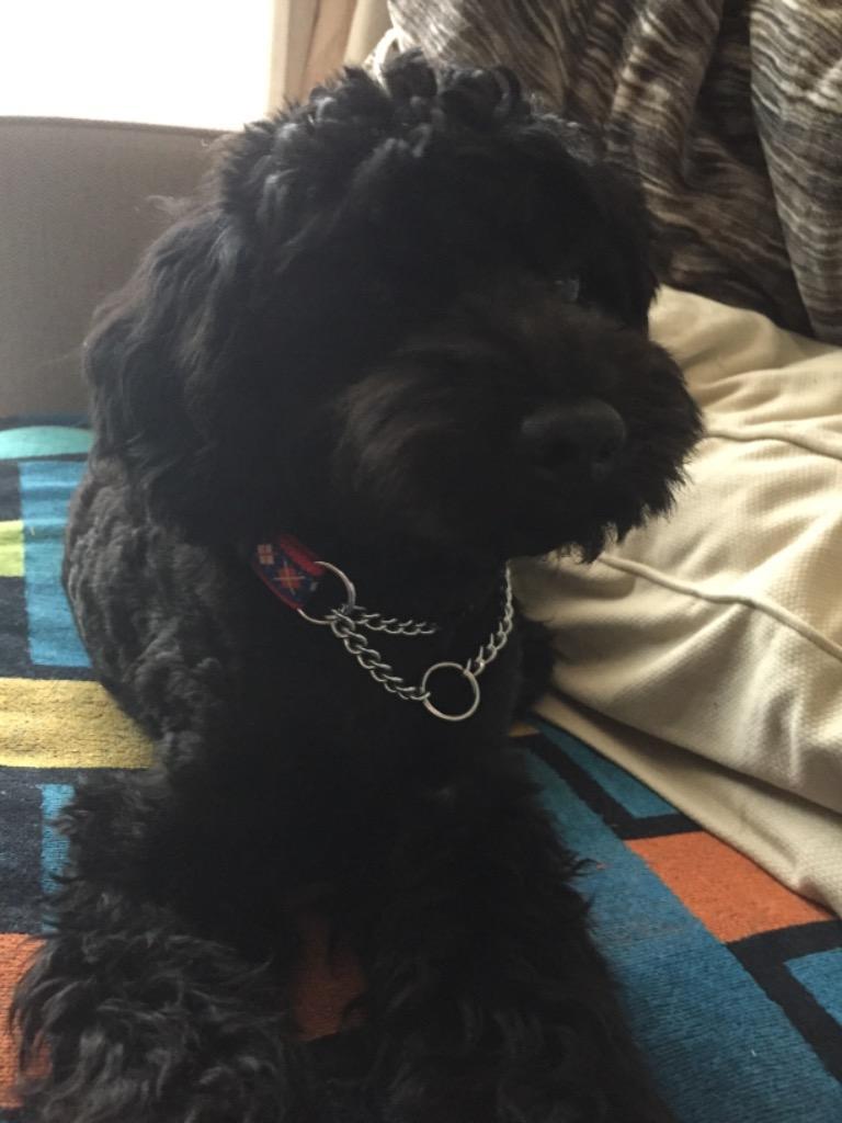 1件目のレビュー画像 | 0