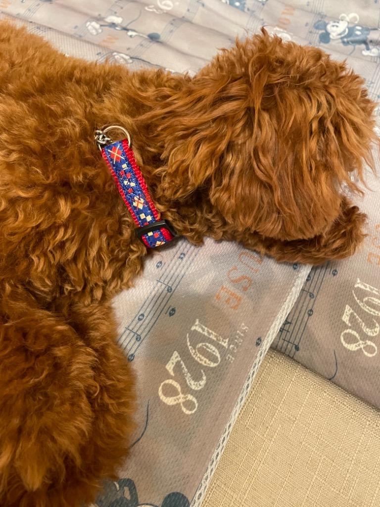 2件目のレビュー画像 | 0