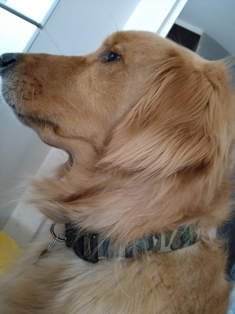 1件目のレビュー画像 | 0