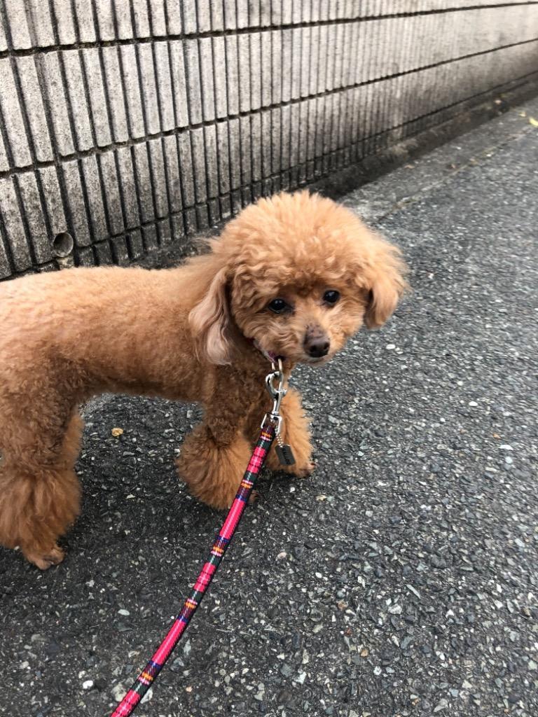 1件目のレビュー画像 | 0