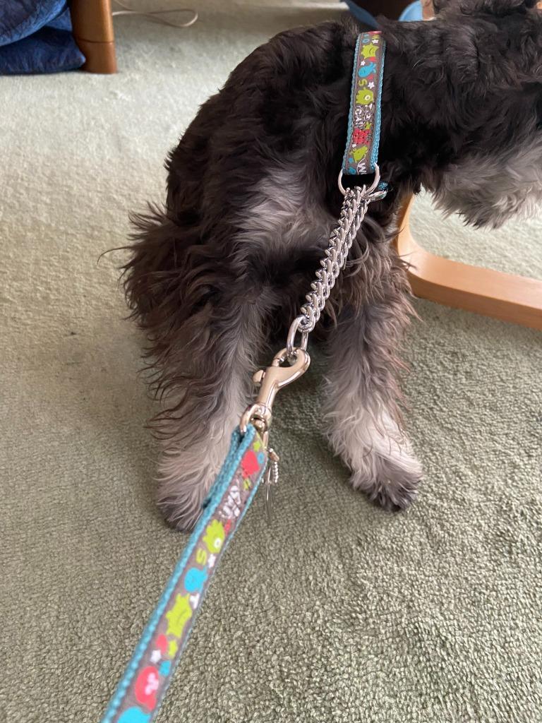 3件目のレビュー画像 | 0