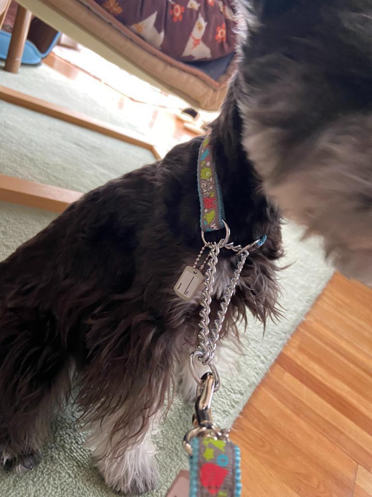 3件目のレビュー画像 | 1