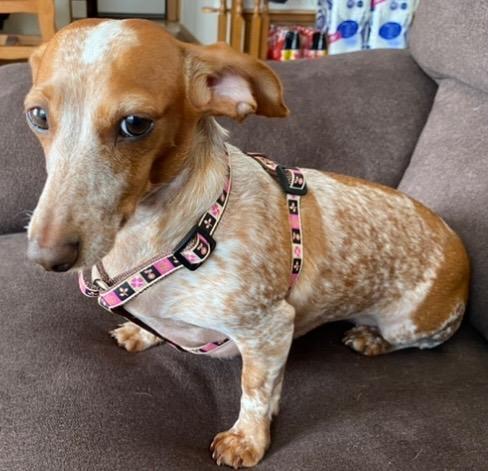 1件目のレビュー画像 | 0