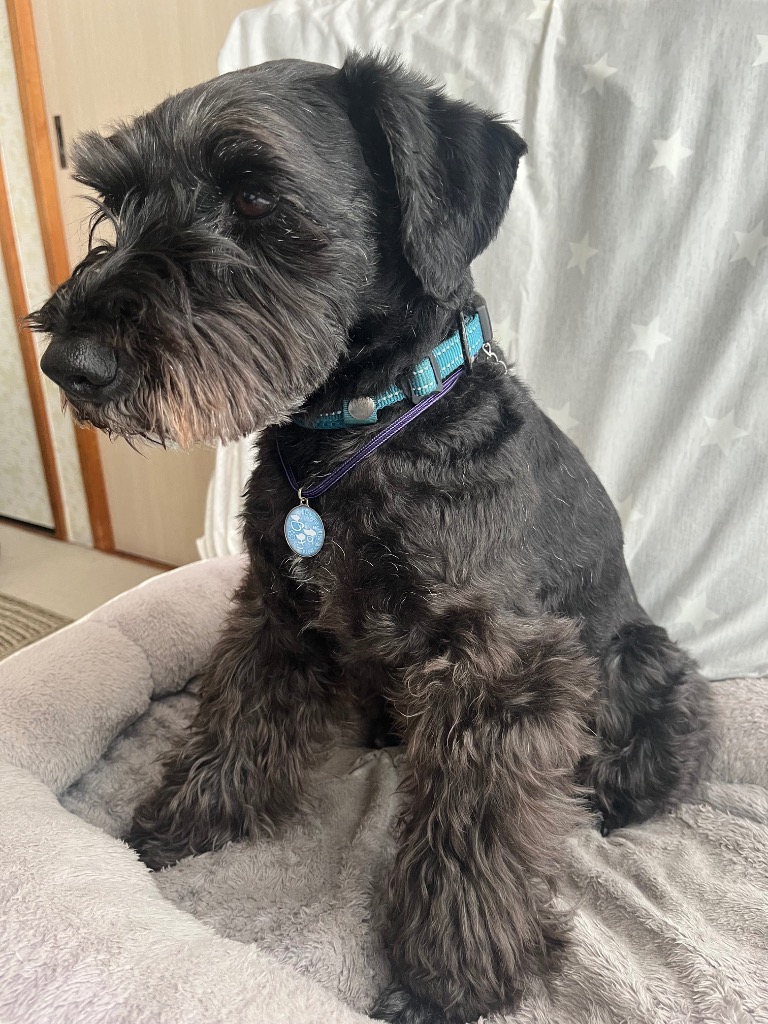 全体のレビュー画像 | 0-0