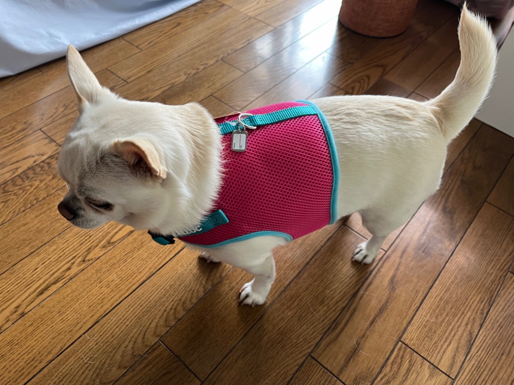 全体のレビュー画像 | 1-0