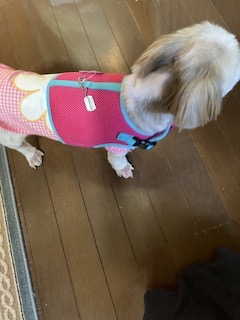 全体のレビュー画像 | 3-1