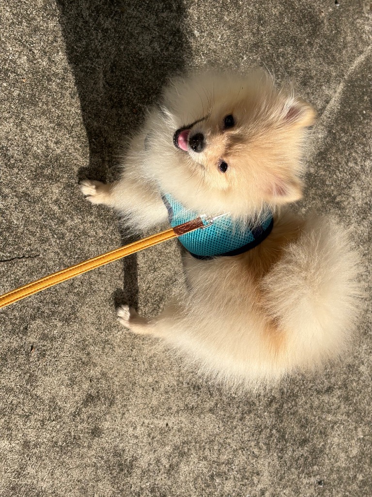 全体のレビュー画像 | 0-0