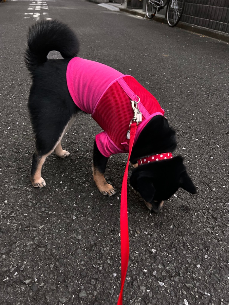 全体のレビュー画像 | 2-0