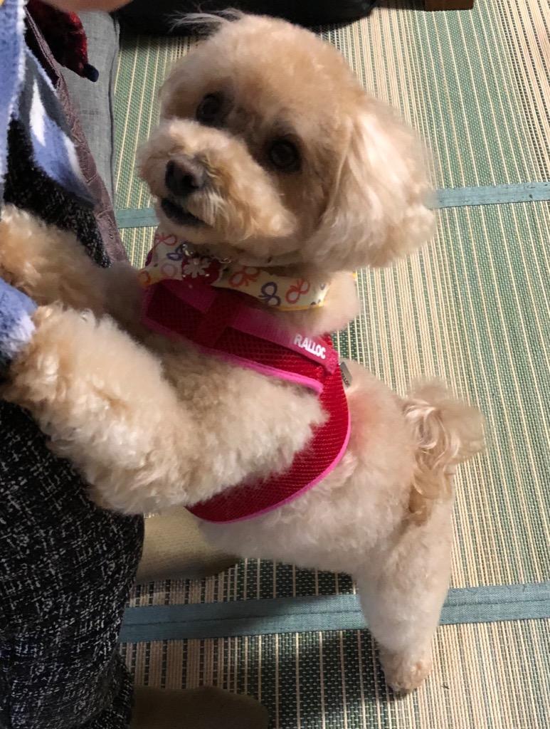 全体のレビュー画像 | 7-0