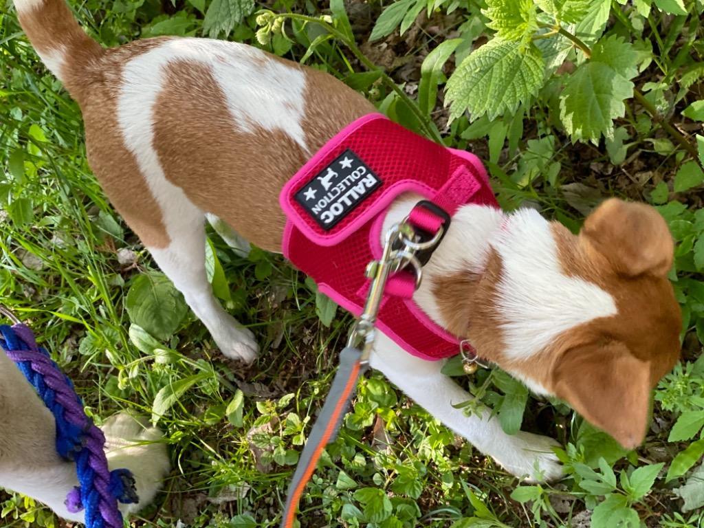 全体のレビュー画像 | 3-0