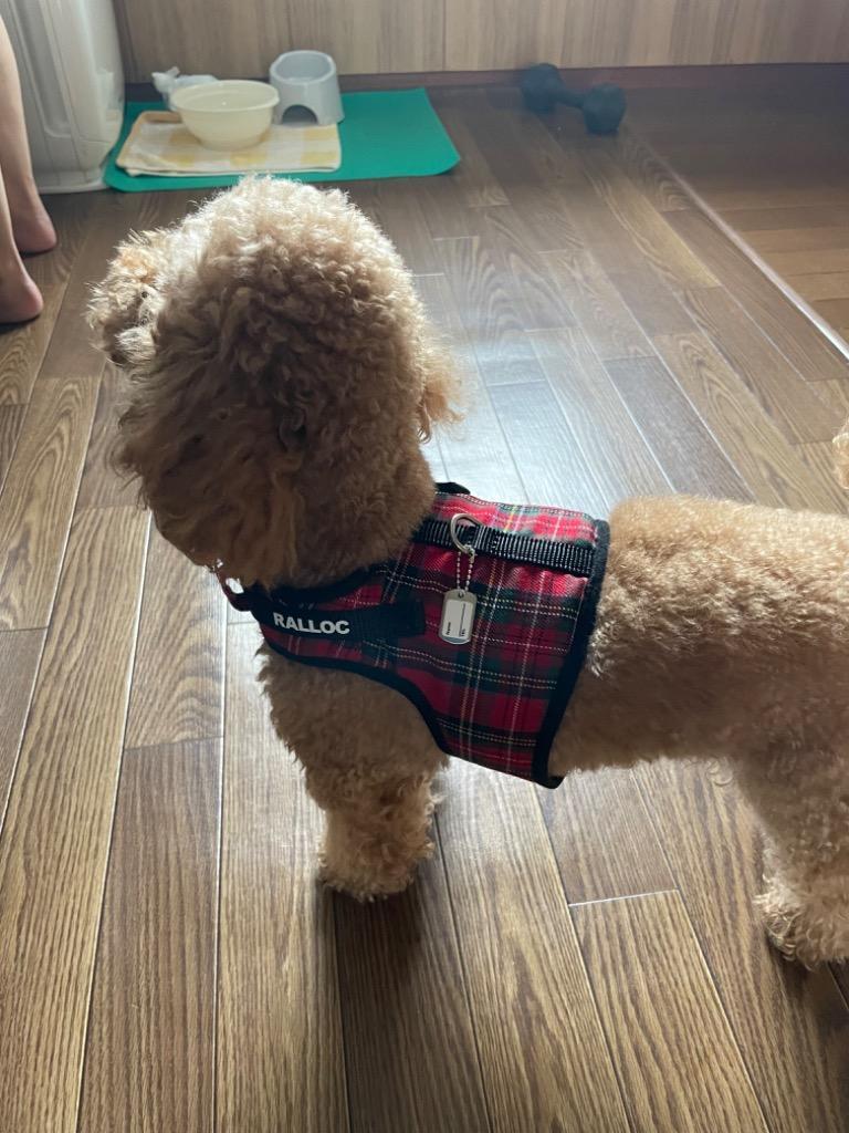 全体のレビュー画像 | 1-2