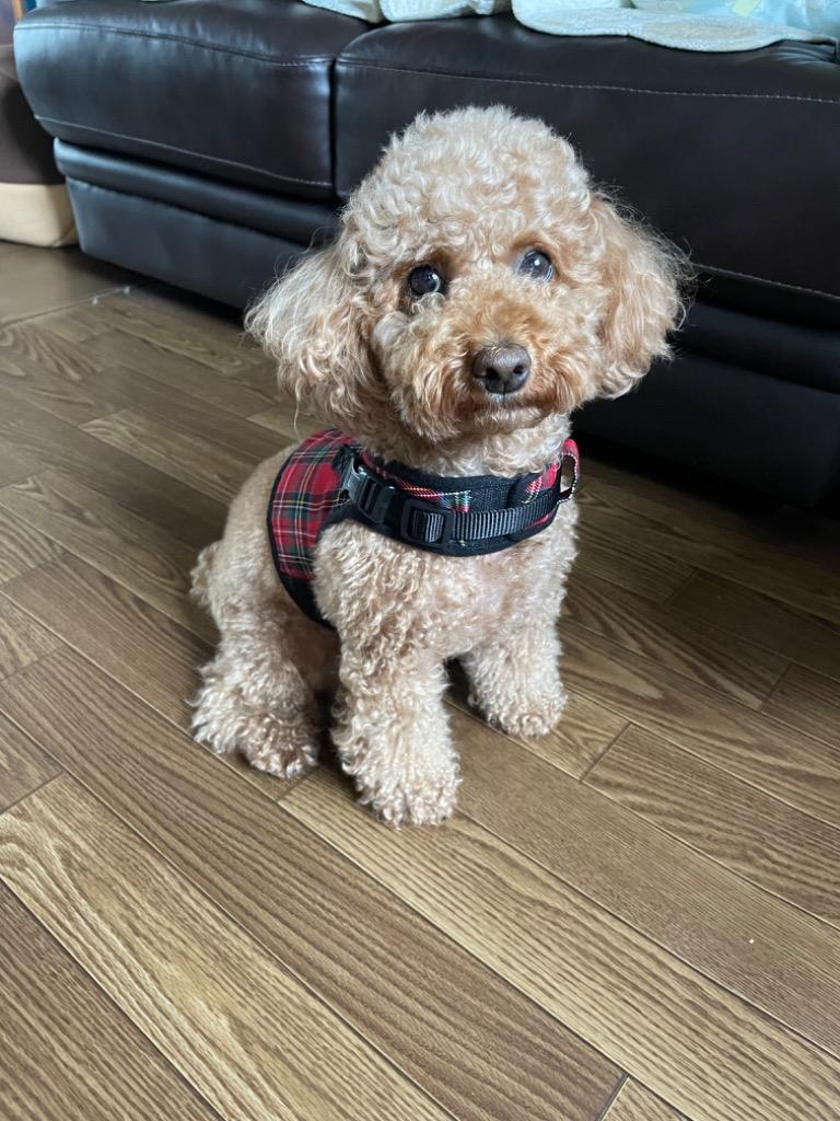 全体のレビュー画像 | 1-1