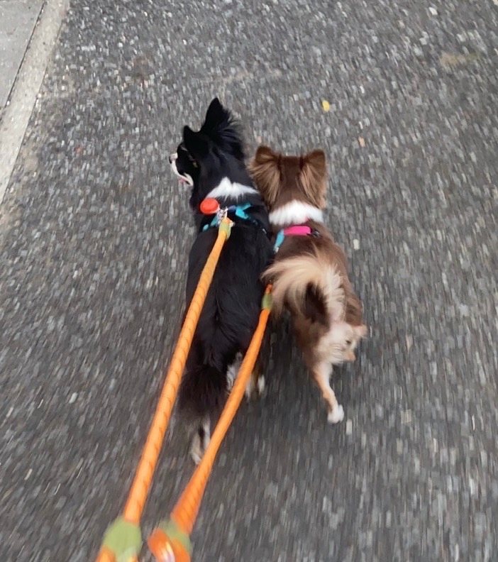 1件目のレビュー画像 | 0