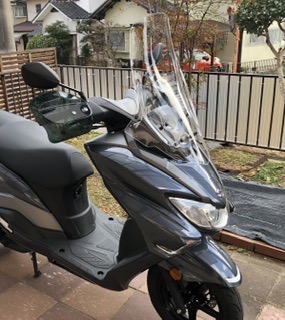 Puig(プーチ) スクリーン BURGMAN 400 バーグマン DU11N Puig(プーチ) スクリーン BURGMAN 400 バーグマン DU11N