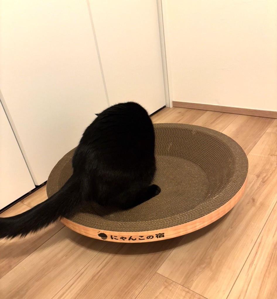 全体のレビュー画像 | 8-1