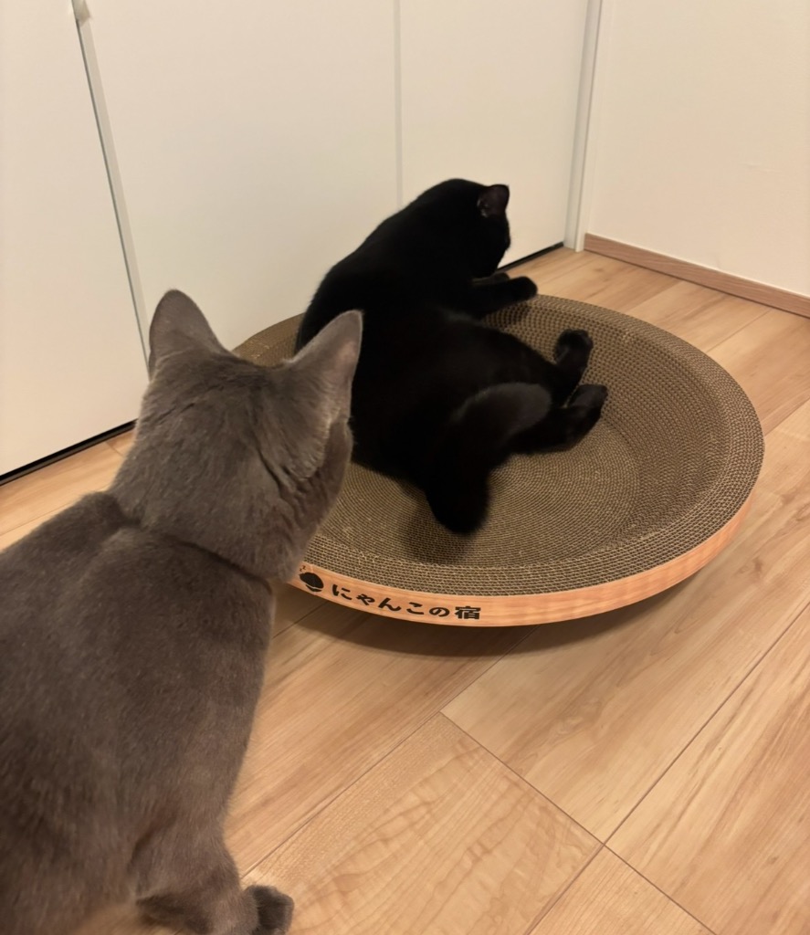 全体のレビュー画像 | 8-3