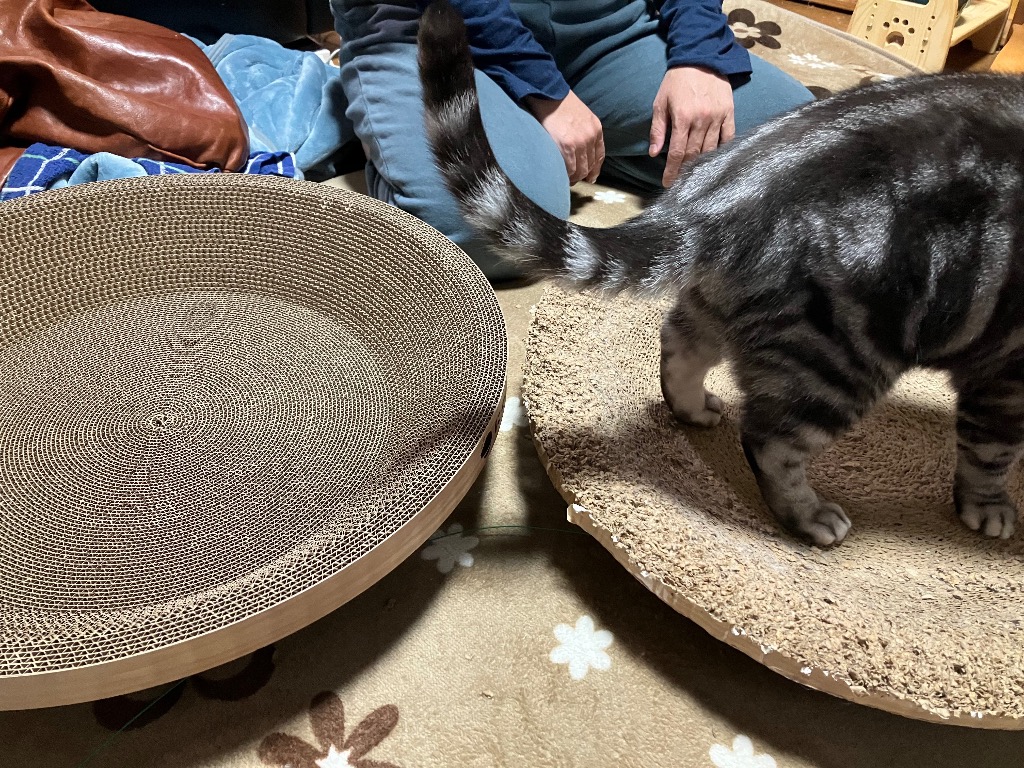 全体のレビュー画像 | 0-0