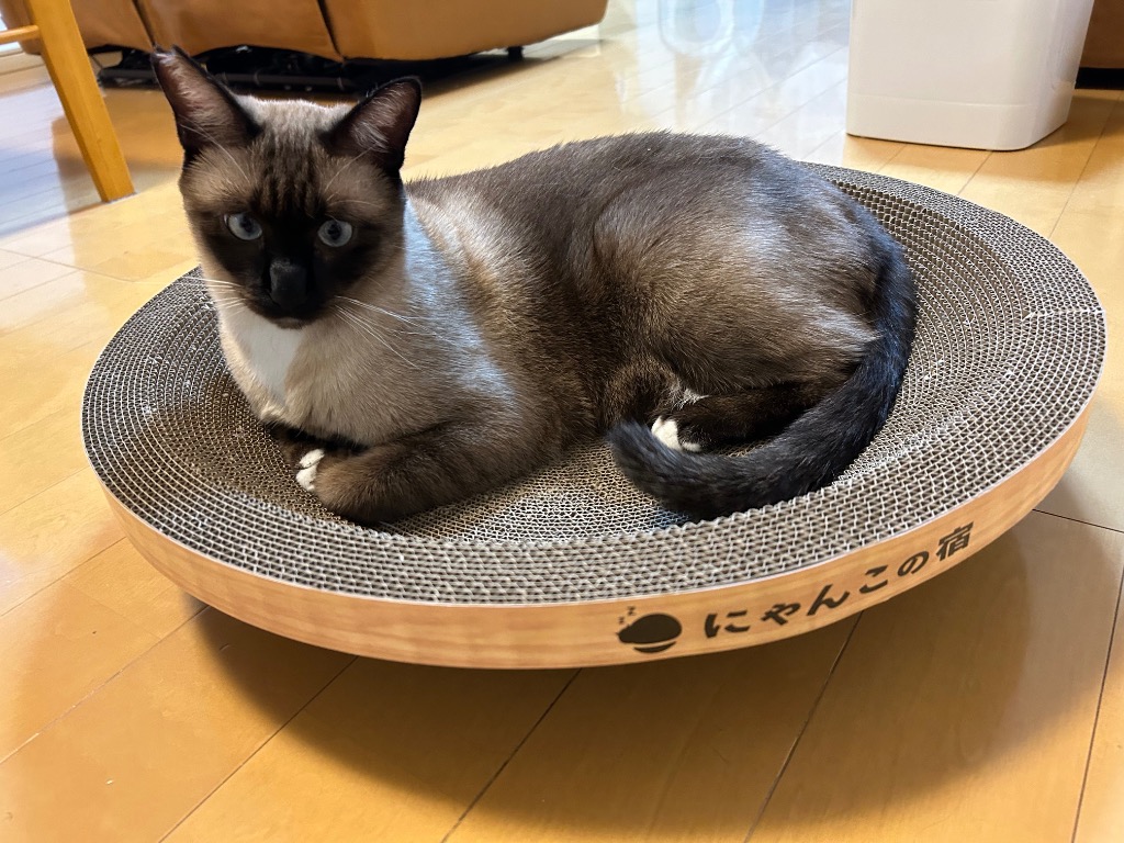 全体のレビュー画像 | 6-1