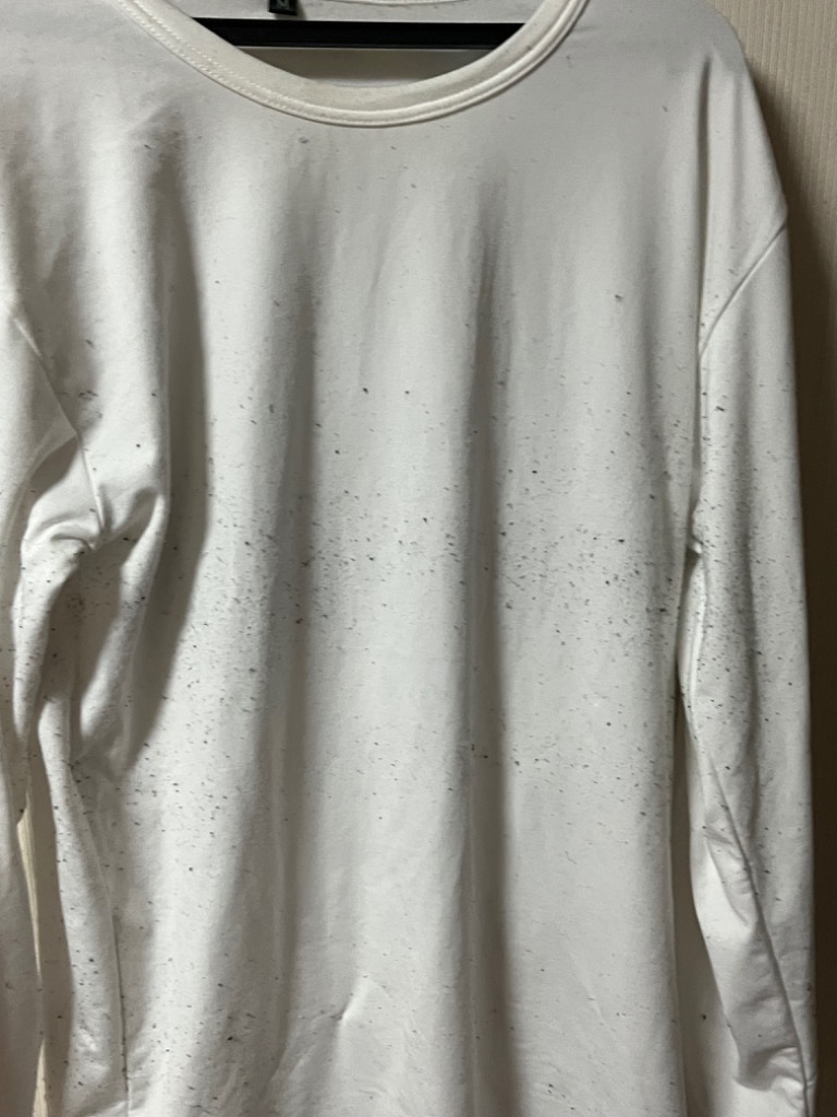 全体のレビュー画像 | 2-2