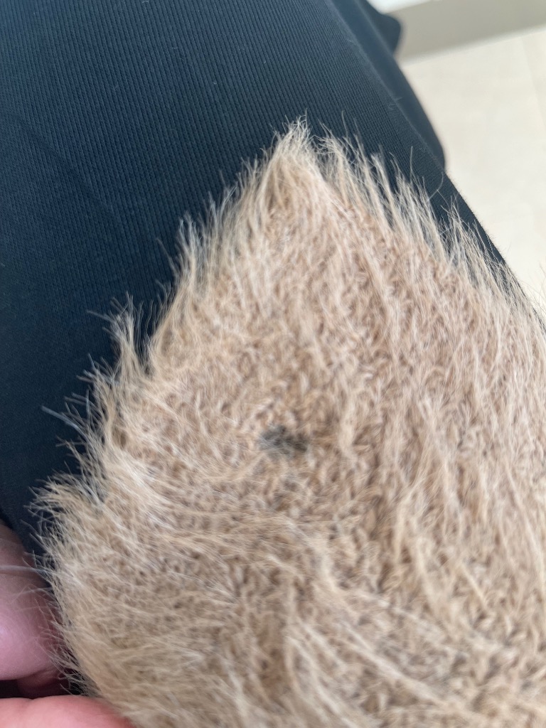 1件目のレビュー画像 | 4