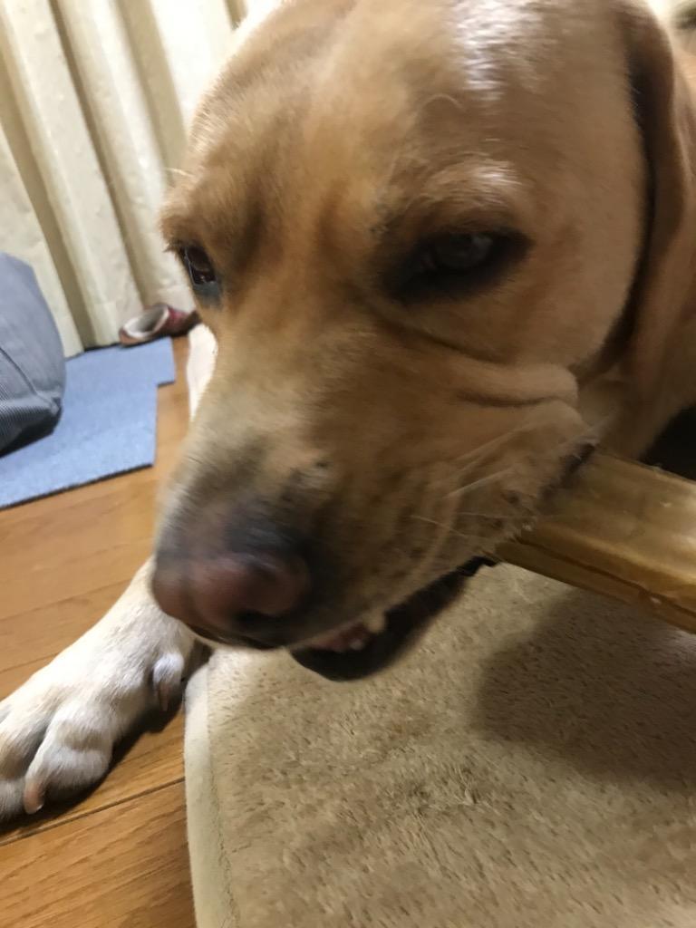 レビュー画像