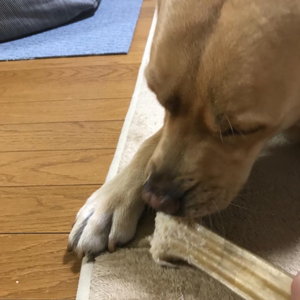レビュー画像
