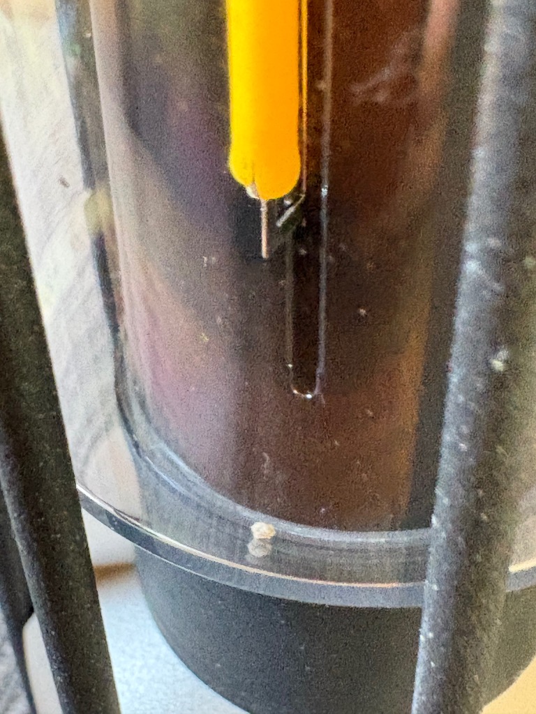 全体のレビュー画像 | 1-1